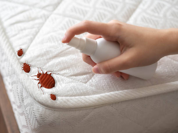 Best Residential Pest Control  in Benton, TN